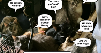 A Small Flaw in the Kroger Loyalty Algorithm: My Cats
